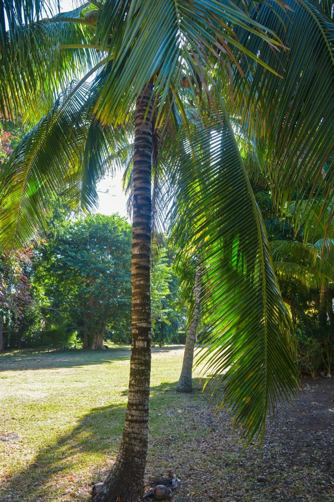 Wolmar Flic En Flac 3 Bedroom Beach Villa Luaran gambar